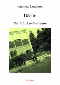 Déclin - Tome 3