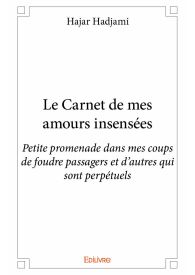 Le Carnet de mes amours insensées