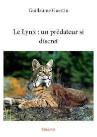 Le Lynx : un prédateur si discret