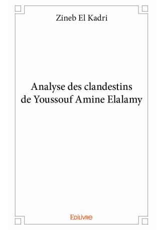 Analyse des clandestins de Youssouf Amine Elalamy