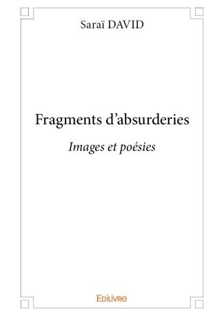 Fragments d'absurderies