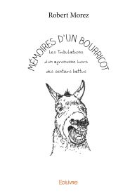 Mémoires d'un bourricot