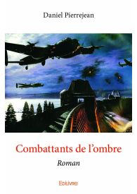 Combattants de l'ombre