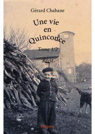 Une vie en quinconce - Tome 1