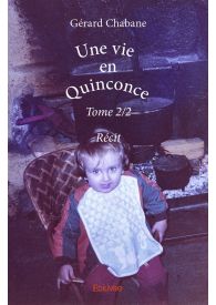 Une vie en quinconce - Tome 2