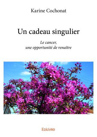 Un cadeau singulier