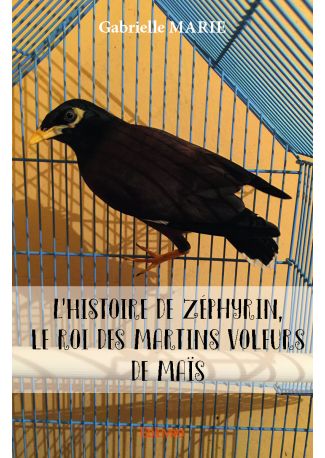 L’Histoire de Zéphyrin, le roi des martins voleurs de maïs