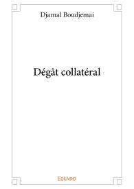 Dégât collatéral