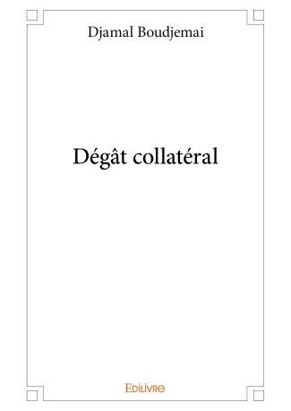Dégât collatéral