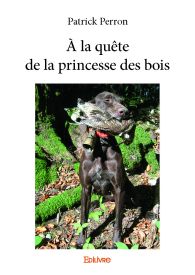 À la quête de la princesse des bois