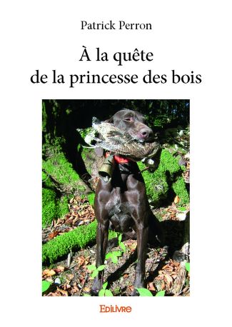 À la quête de la princesse des bois