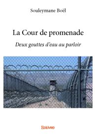 La Cour de promenade