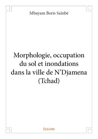 Morphologie, occupation du sol et inondations dans la ville de N'Djamena (Tchad)