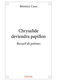 Chrysalide deviendra papillon