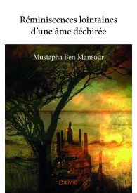 Réminiscences lointaines d'une âme déchirée