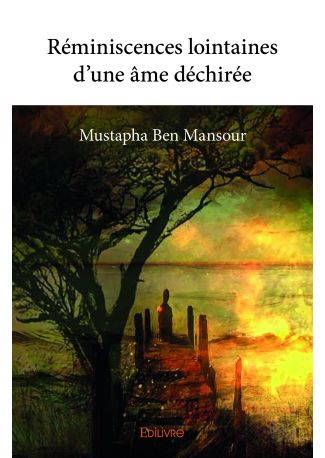 Réminiscences lointaines d'une âme déchirée