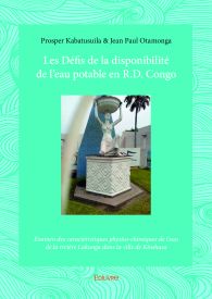 Les Défis de la disponibilité de l'eau potable en R.D. Congo