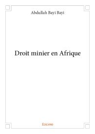 Droit minier en Afrique