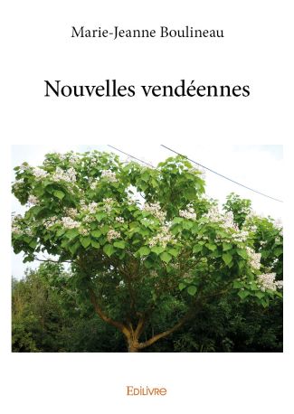Nouvelles vendéennes