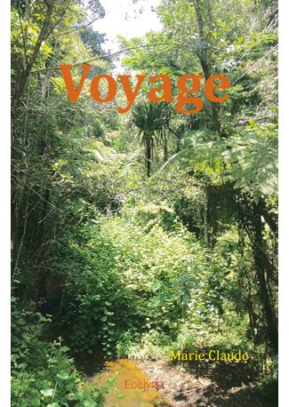 Voyage