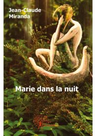 Marie dans la nuit