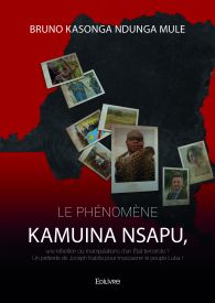 Le Phénomène Kamuina Nsapu, une rébellion ou manipulations d’un État terroriste ?