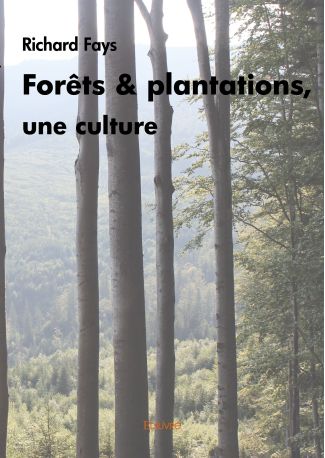 Forêts et plantations, une culture