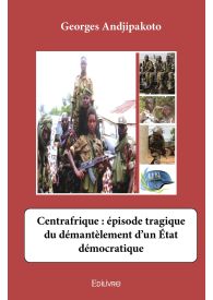 Centrafrique : épisode tragique du démantèlement d’un État démocratique