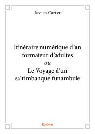 Itinéraire numérique d’un formateur d’adultes ou Le Voyage d'un saltimbanque funambule