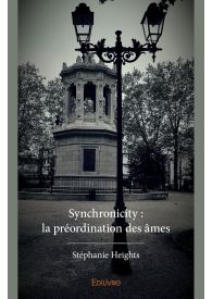 Synchronicity : la préordination des âmes