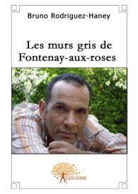 Les murs gris de Fontenay-aux-roses