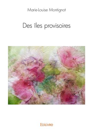 Des îles provisoires