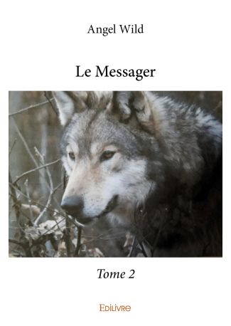 Le Messager – Tome 2