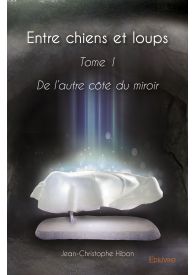 De l'autre côté du miroir - Tome 1
