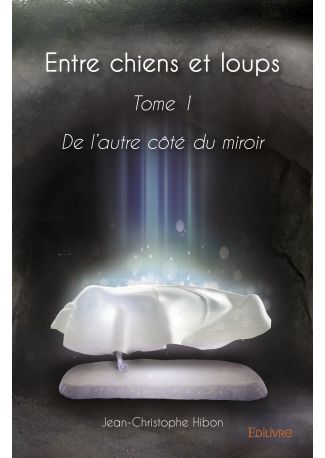 De l'autre côté du miroir - Tome 1