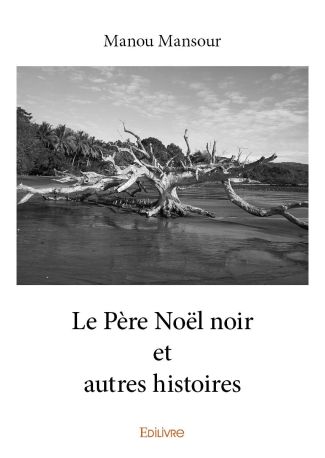 Le Père Noël noir et autres histoires