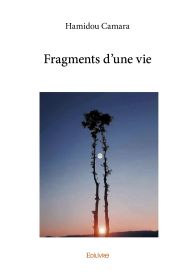 Fragments d’une vie