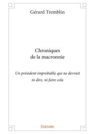 Chroniques de la macronnie (un président improbable qui ne devrait ni dire, ni faire cela)