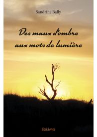 Des maux d'ombre aux mots de lumière