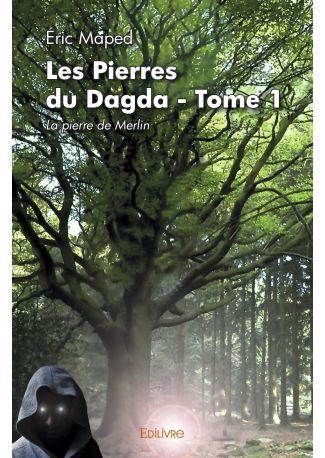 Les Pierres du Dagda - Tome 1