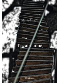 Terrain miné