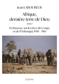 Afrique, dernière terre de Dieu - Tome 1