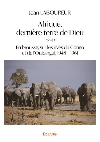 Afrique, dernière terre de Dieu - Tome 1