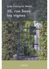 28, rue Sous les vignes