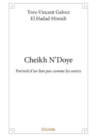 Cheikh N'Doye