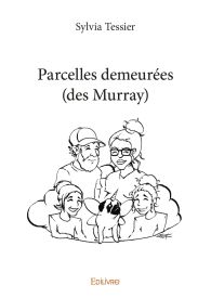 Parcelles demeurées (des Murray)