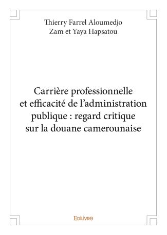 Carrière professionnelle et efficacité de l'administration publique