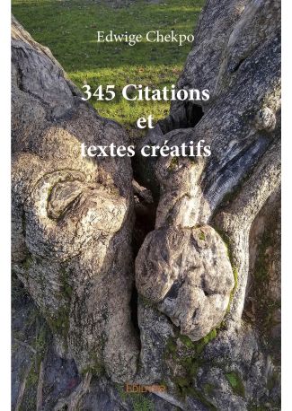 345 citations et textes créatifs