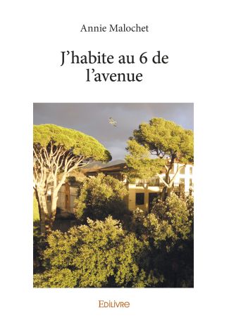 J'habite au 6 de l'avenue