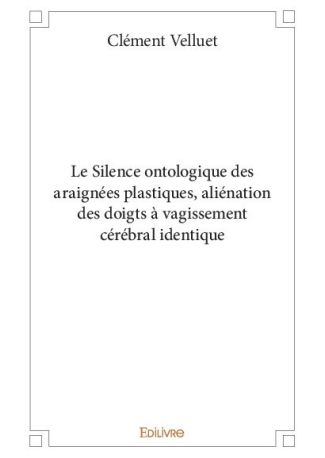 Le Silence ontologique des araignées plastiques